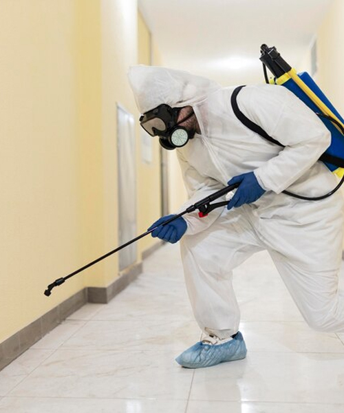 Best Pest Control in Kakkanad